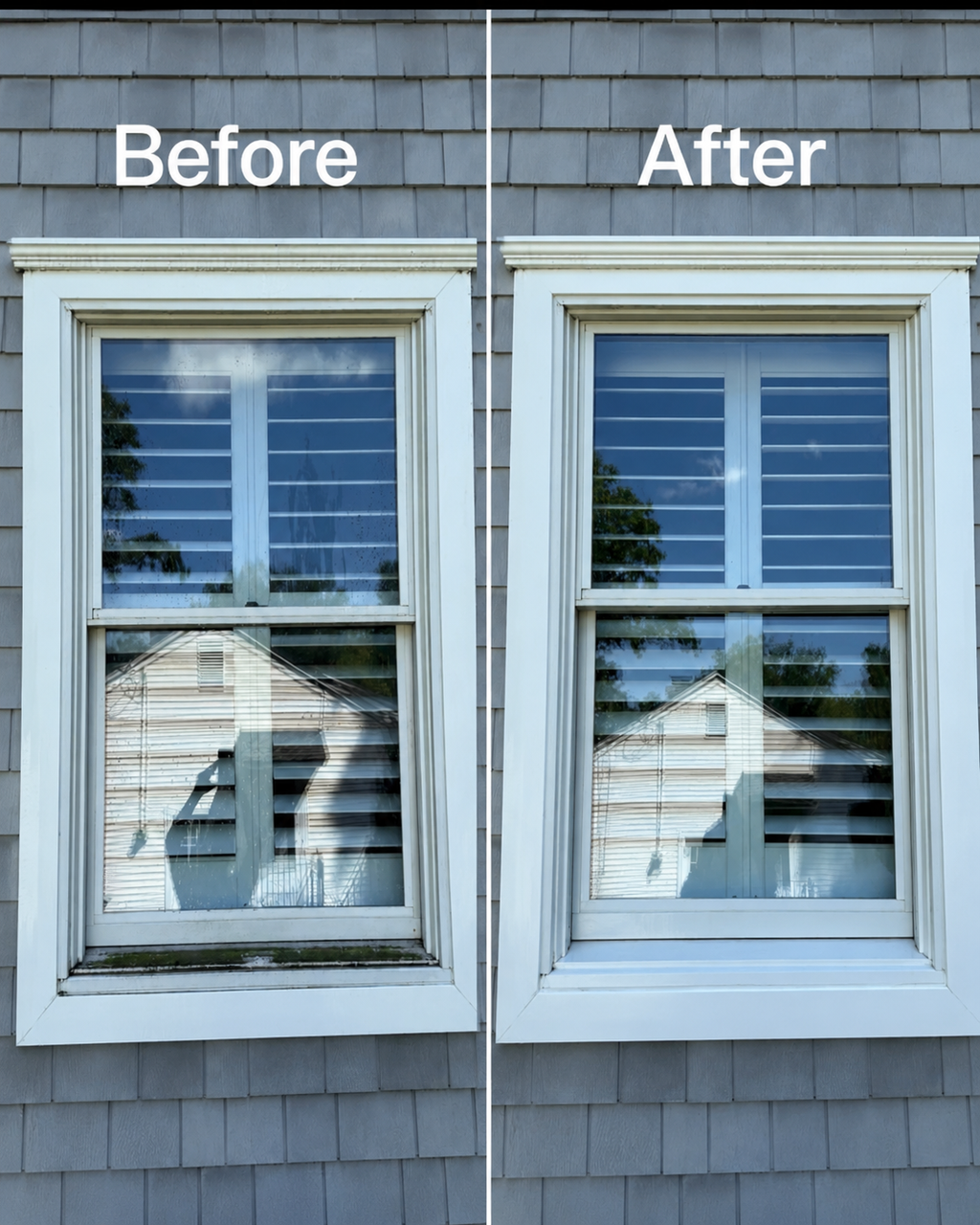 Exterior Window Cleaning